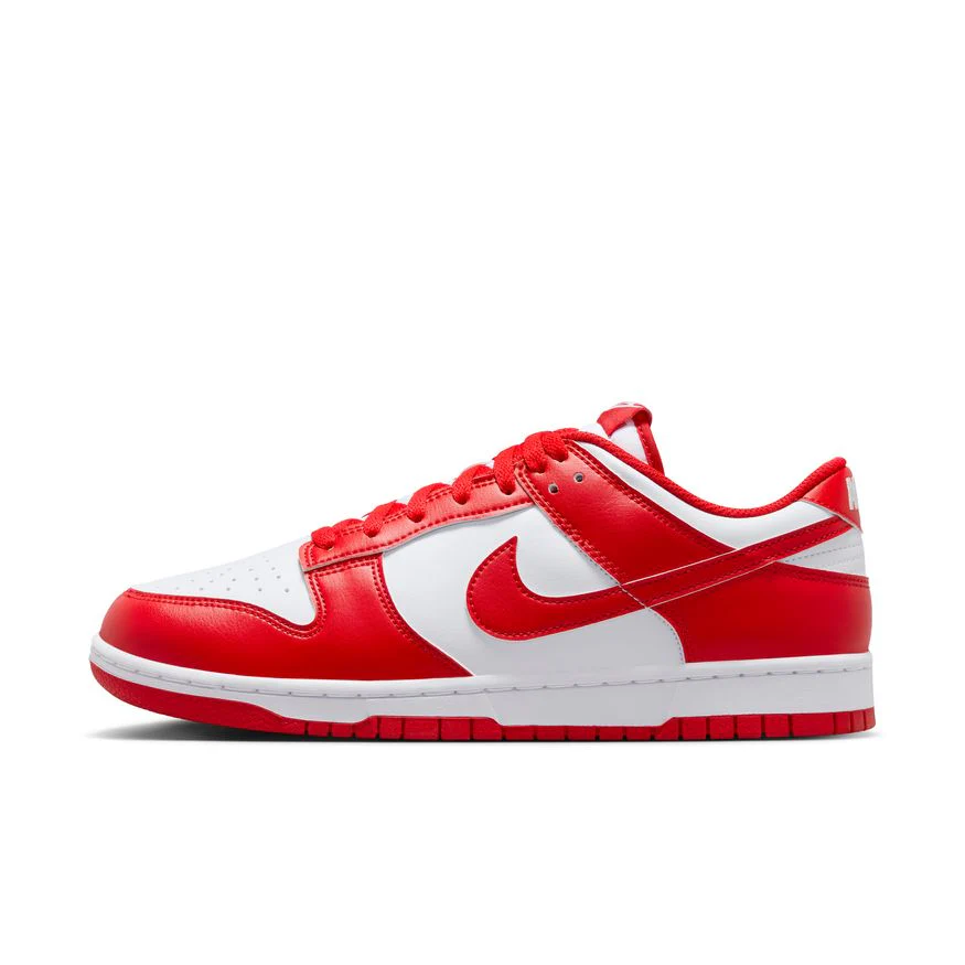 M Nike Dunk Low Retro HF5441-104 - Image 7